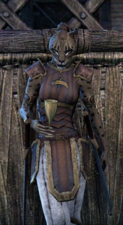 Файл:ON-npc-Captain Jimila.jpg