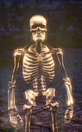 Файл:ON-npc-Spirit of the Ancient Dead.jpg