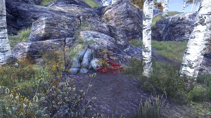 Файл:ON-interior-Jerall Mountains Logging Track 03.jpg