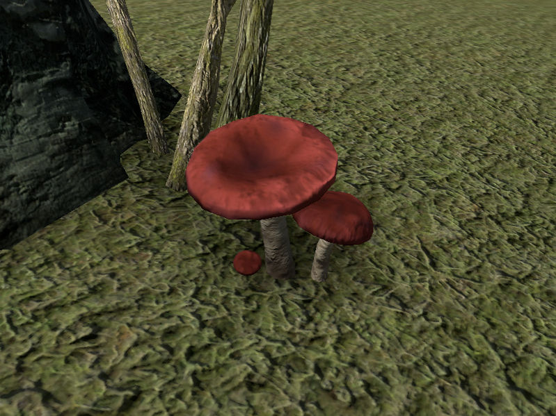 Файл:ON-node-Emetic Russula.jpg