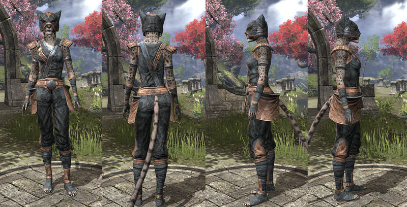 Файл:ON-item-armor-Linen-Jerkin-Khajiit-Female.jpg