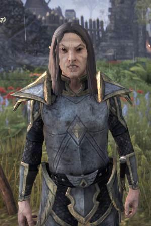 Файл:ON-npc-Captain Elonthor.jpg