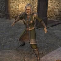 Файл:ON-npc-Jarl Olfwenn.jpg