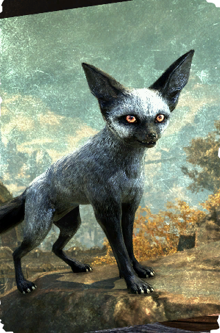 Файл:ON-card-Dusky Fennec Fox.png