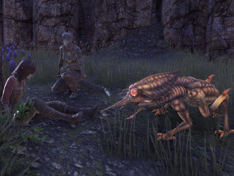 Файл:ON-quest-The Bard of Hounds.jpg