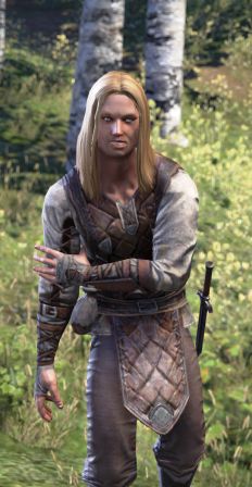 Файл:ON-npc-Gelvin Feldrin.jpg