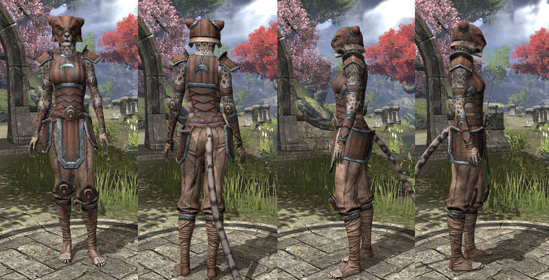 Файл:ON-item-armor-Hide-Khajiit-Female.jpg