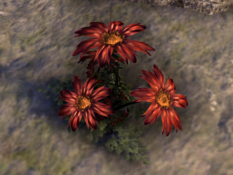 Файл:ON-quest-A Rose's Beauty.jpg