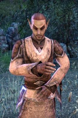 Файл:ON-npc-Telbaril Oran.jpg