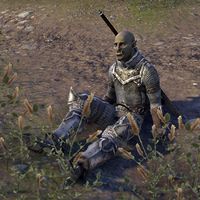 Файл:ON-npc-Sergeant Olfin.jpg