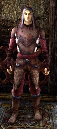 Файл:ON-item-Red Rook Disguise.jpg