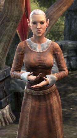 Файл:ON-npc-Ambassador Sariel 01.jpg