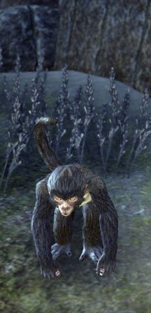 Файл:ON-npc-Suspicious Monkey 01.jpg