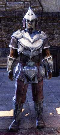 Файл:ON-item-Steel Shrike Uniform.jpg