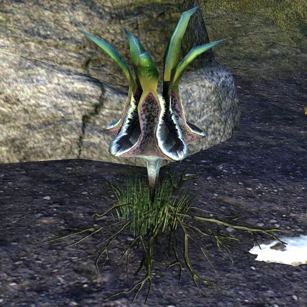 Файл:ON-node-Fluster Fume Plant.jpg