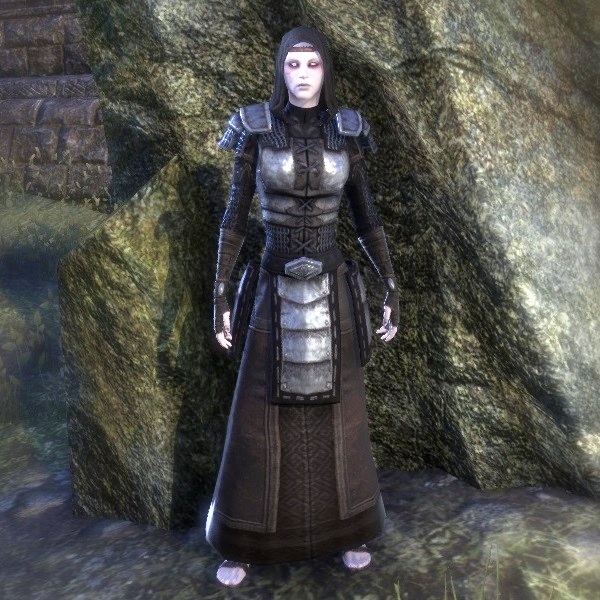 Файл:ON-costume-Battlemage Scout Captain Uniform (Female).jpg