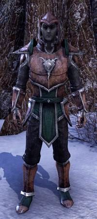 Файл:ON-item-Vanguard Uniform.jpg