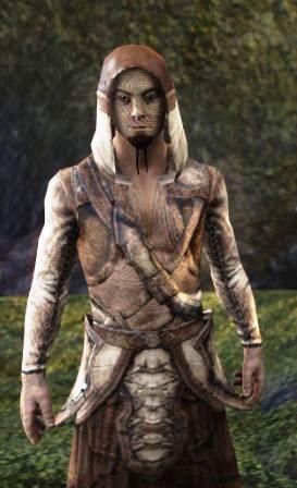 Файл:ON-npc-Spinner Sandaenion.jpg