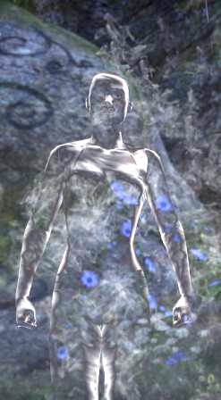 Файл:ON-npc-Guardian of the Air.jpg