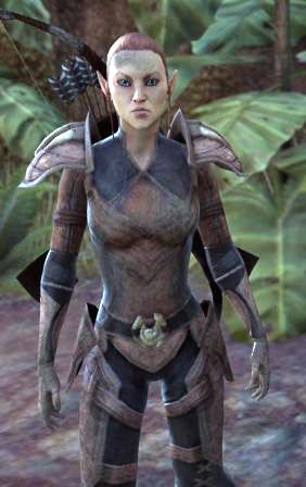 Файл:ON-npc-Sergeant Herdor.jpg