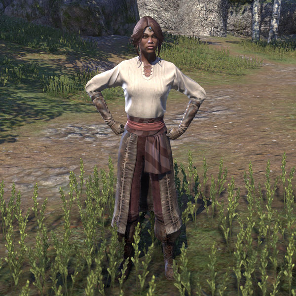 Файл:ON-npc-Nuzhimeh the Merchant.jpg