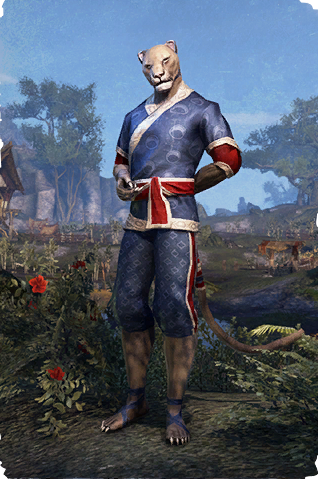 Файл:ON-card-Moon-Sugar Festival Suit.png