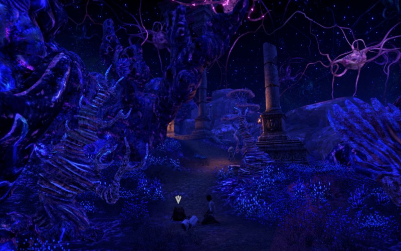 Файл:ON-interior-Eldbur Ruins 04.jpg