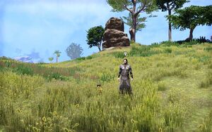 ON-quest-Honor Bound (Solstice) 03.jpg