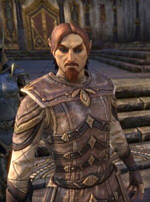 ON-npc-Vicereeve Pelidil.jpg
