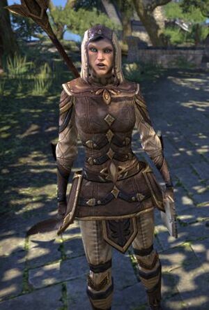 ON-npc-Captain Landare.jpg