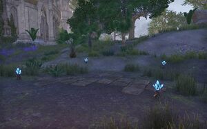 ON-quest-The Stirk Fellowship 06.jpg