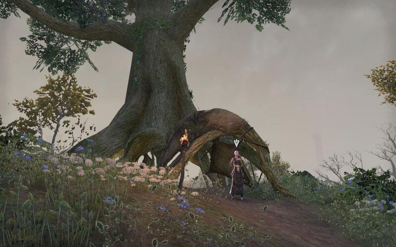 Файл:ON-quest-Wyrd and Coven 05.jpg