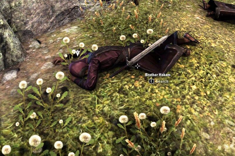 Файл:ON-quest-Azura's Guardian 03.jpg