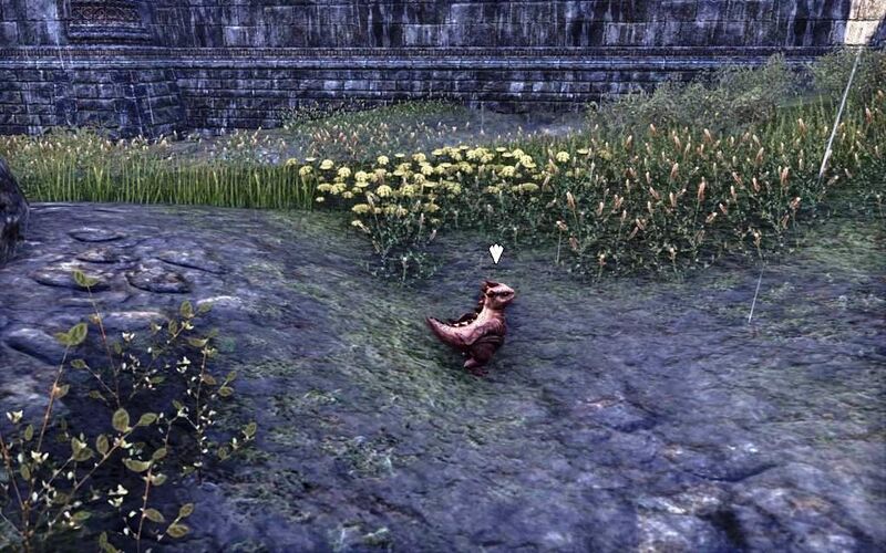 Файл:ON-quest-Guar Gone.jpg