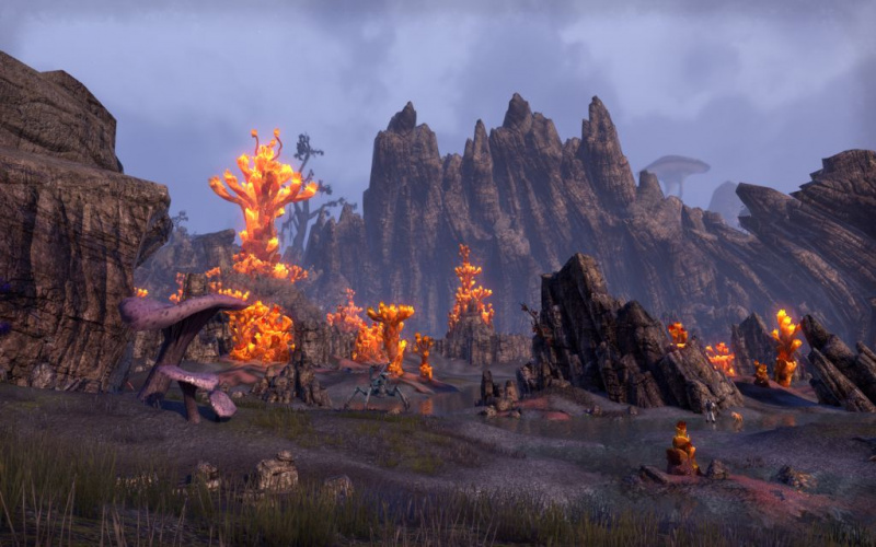 Файл:ON-place-Vivec's Antlers.jpg