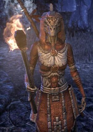 ON-npc-Treeminder Xohaneel.jpg