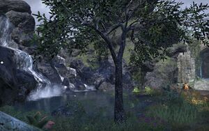 ON-place-In Need of a Bath 02.jpg