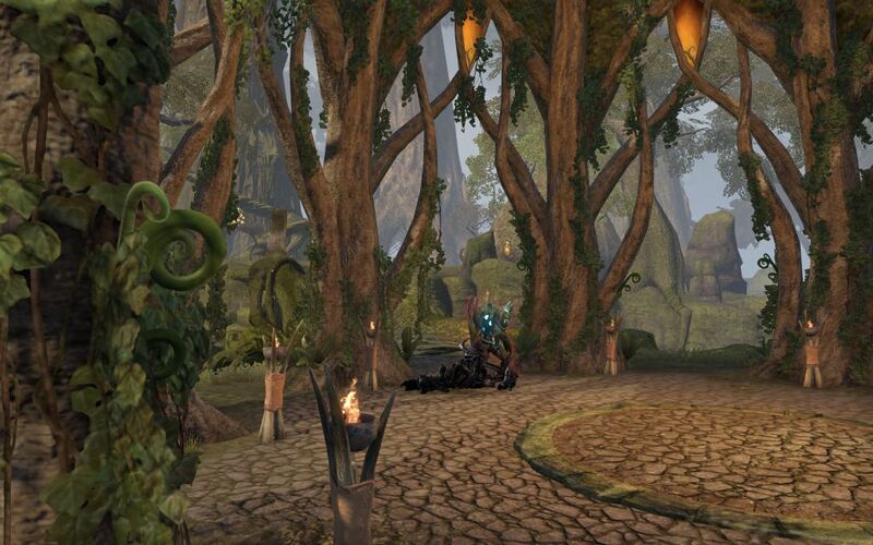 Файл:ON-quest-Restore the Silvenar 03.jpg