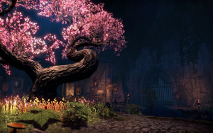 ON-interier-Elden Root Outlaws Refuge 02.jpg