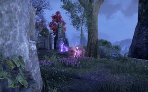 ON-quest-Corruption Stones 03.jpg