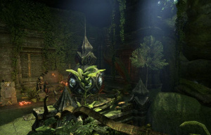 ON-interior-New-Moons Chamber 02.jpg