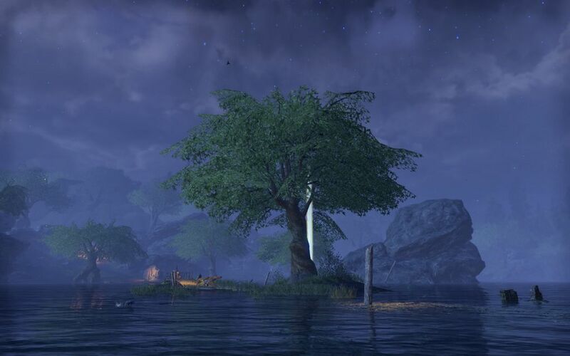 Файл:ON-place-5-Blackwood Skyshard.jpg