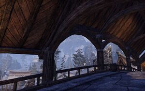 ON-quest-Snow Bear Plunge 02.jpg