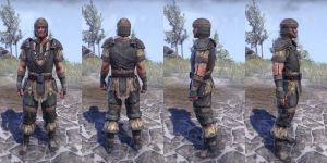 ON-item-armor-Linen-Jerkin-Nord-Male.jpg