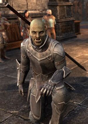 ON-npc-Sergeant Olfin-s.jpg