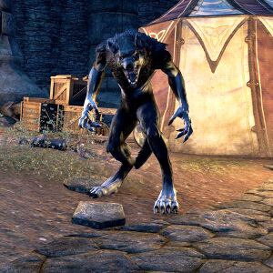 ON-creature-Faolchu the Changeling.jpg