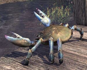 ON-misc-Iliac Bay Crab.jpg