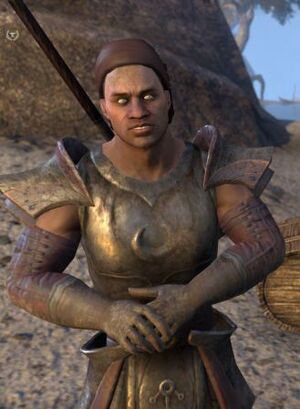 ON-npc-Captain Khammo.jpg