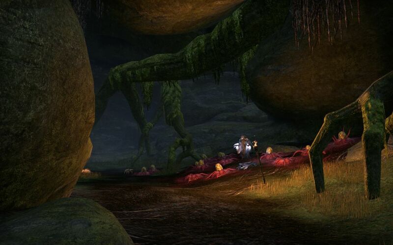 Файл:ON-interior-Lady Llarel's Shelter 01.jpg