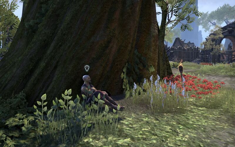 Файл:ON-place-Carnival Conundrum.jpg